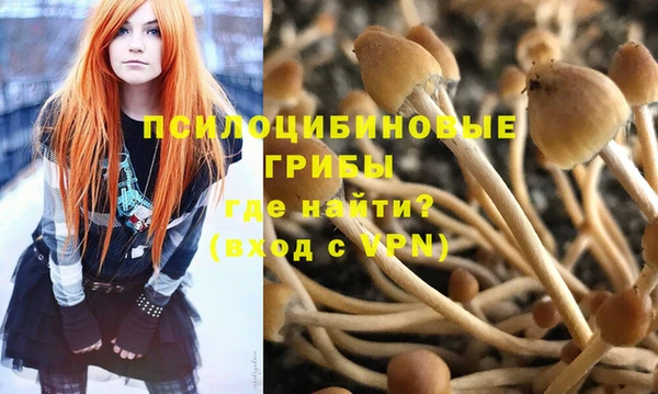 прущие крисы Новодвинск