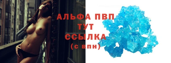 прущие крисы Новодвинск