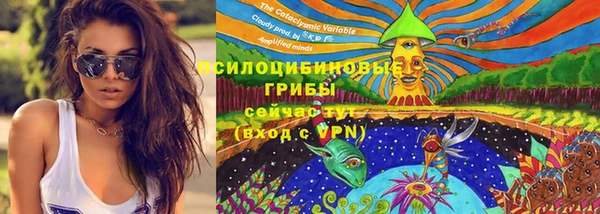 дурь Нязепетровск