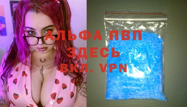 прущие крисы Новодвинск