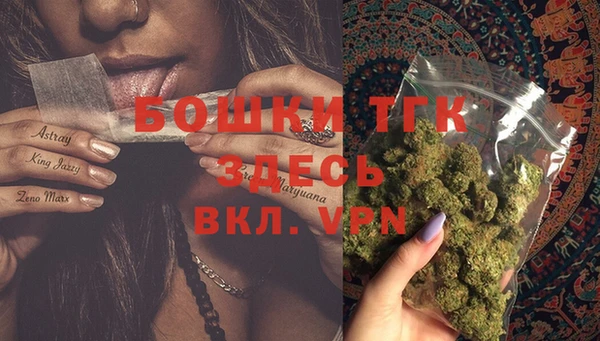 прущие крисы Новодвинск