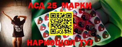 шишки Абакан