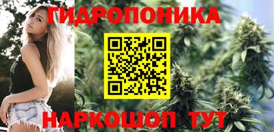МДПВ Кингисепп