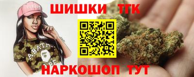 МДПВ Кингисепп