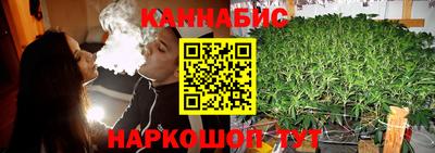 МДПВ Кингисепп