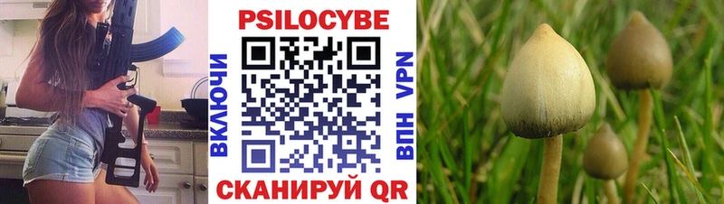 Галлюциногенные грибы мицелий Морозовск