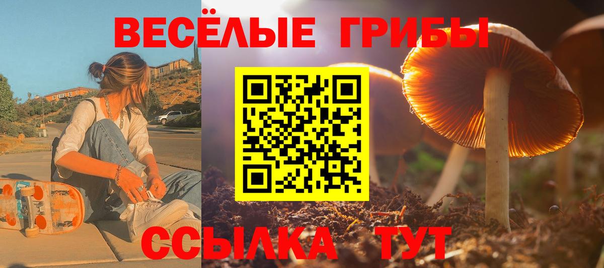 Галлюциногенные грибы Psilocybine cubensis  закладка  Морозовск 
